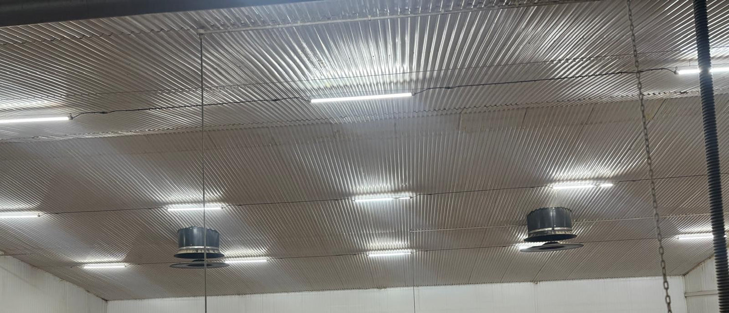 Livestock Housing Lighting Systems & Rigging Equipment