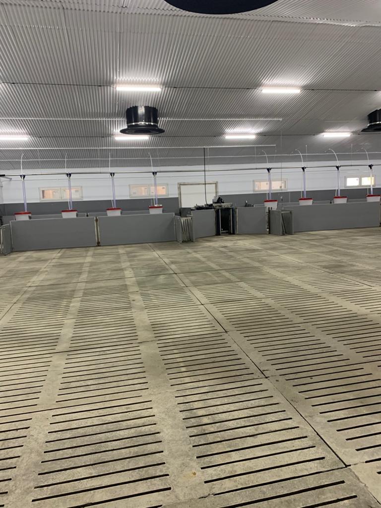 Agrisys (Nedap) Sorting Machine