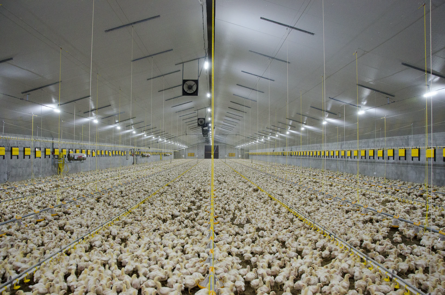 Tulderhof Inlet | Wall Inlet | Pig Poultry Calf House Ventilation