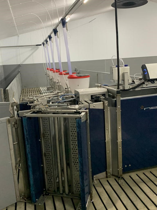 Agrisys (Nedap) Sorting Machine